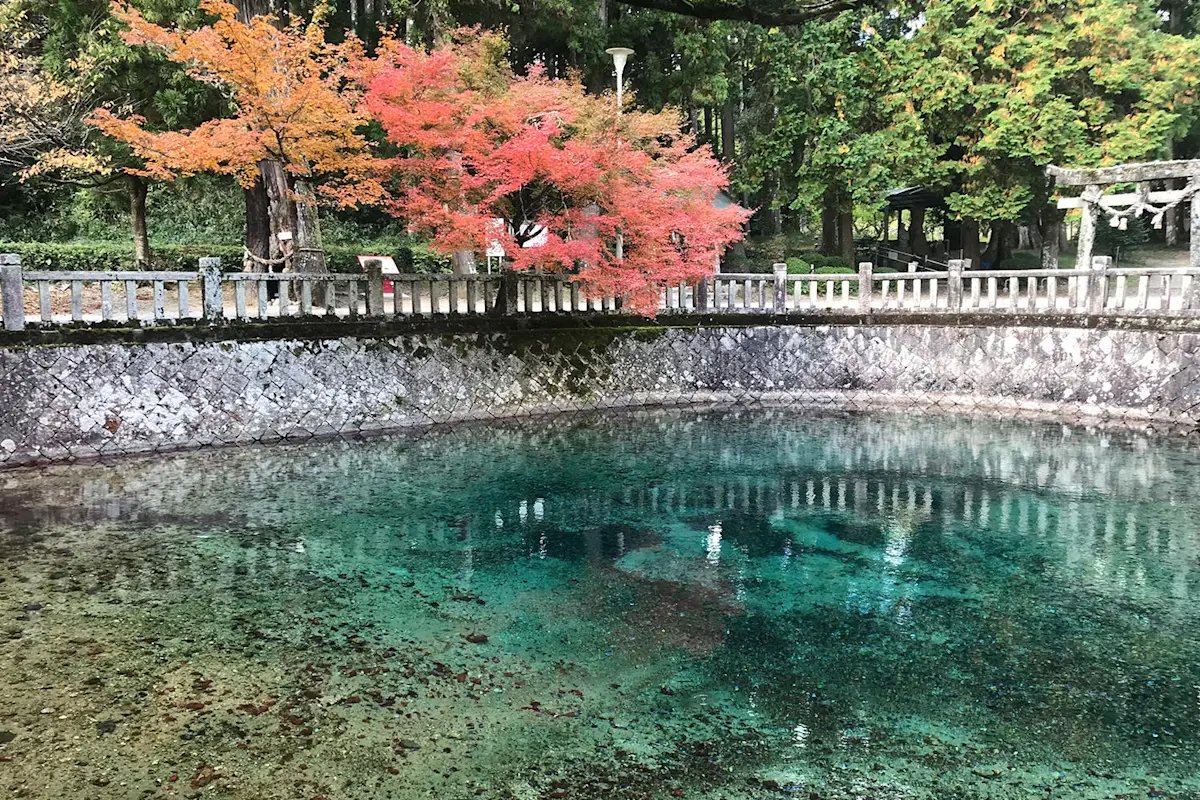 🌳 벳푸 공원(벳푸 코엔) 이미지 8